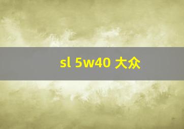 sl 5w40 大众